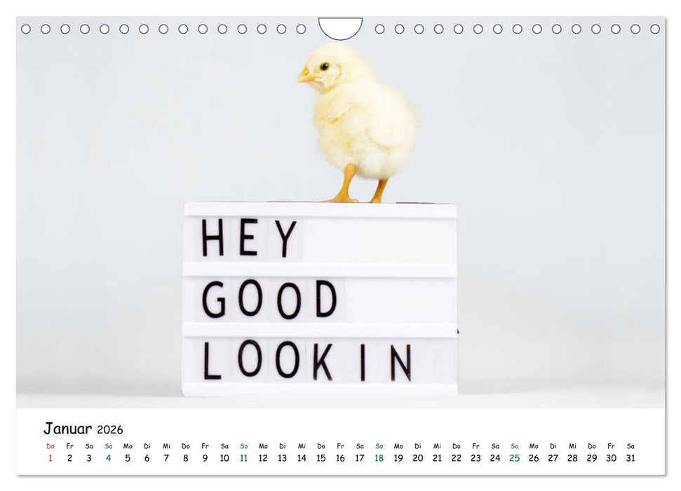 Tierkinder ganz frech (CALVENDO Wandkalender 2026)