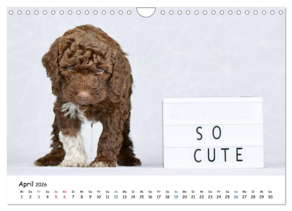 Tierkinder ganz frech (CALVENDO Wandkalender 2026)