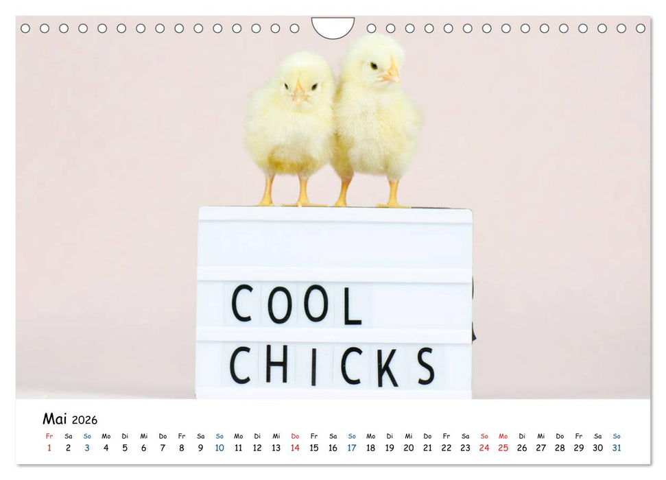 Tierkinder ganz frech (CALVENDO Wandkalender 2026)