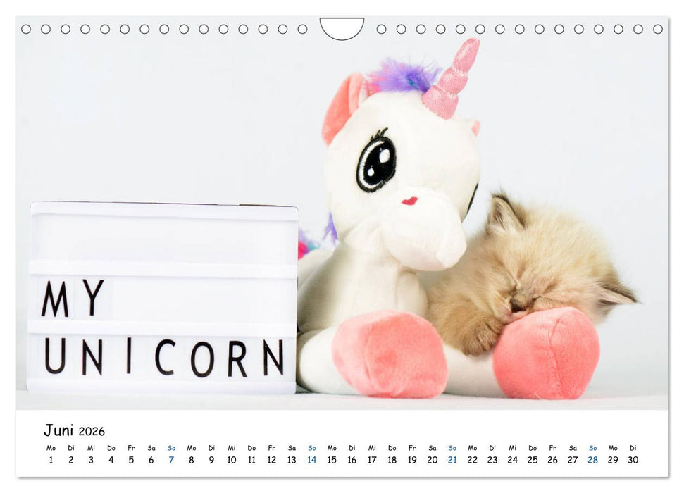 Tierkinder ganz frech (CALVENDO Wandkalender 2026)