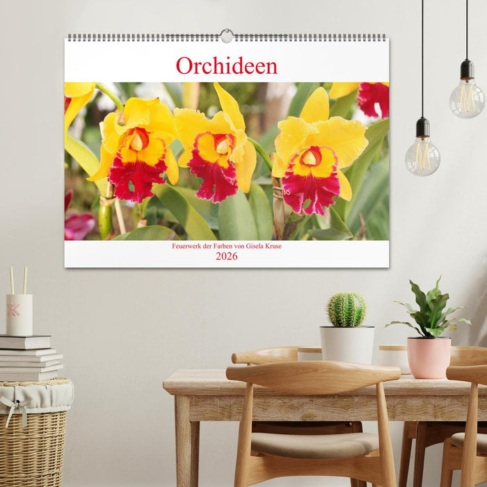 Orchideen Feuerwerk der Farben (CALVENDO Wandkalender 2026)