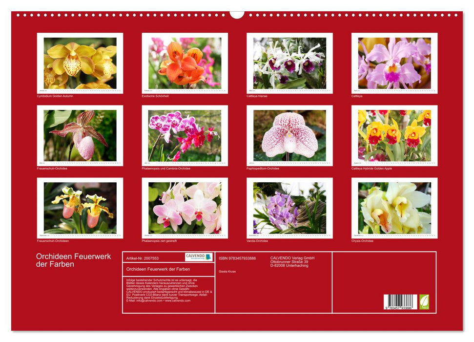 Orchideen Feuerwerk der Farben (CALVENDO Wandkalender 2026)
