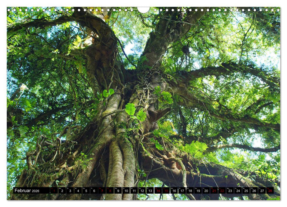 Bali. Im Reich der Götter (CALVENDO Wandkalender 2026)