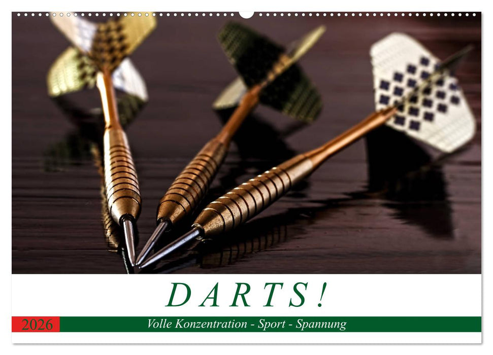 Darts. Konzentration - Sport - Spannung (CALVENDO Wandkalender 2026)