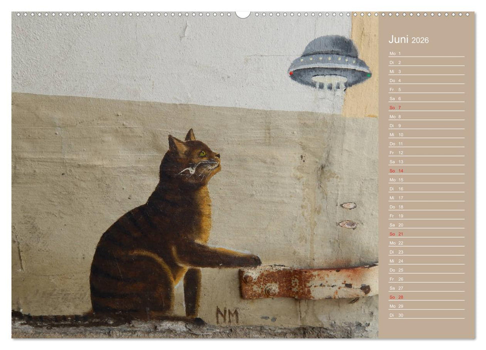 Flensburger Katzen (CALVENDO Wandkalender 2026)