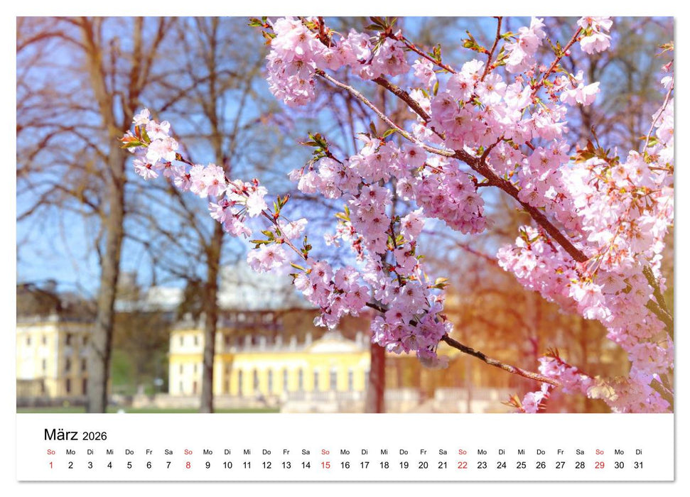 Kassel - Impressionen (CALVENDO Wandkalender 2026)