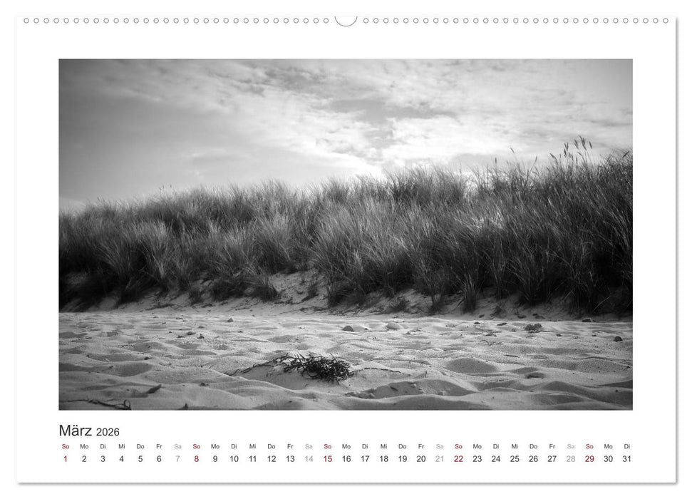 Monochrom Meer (CALVENDO Wandkalender 2026)