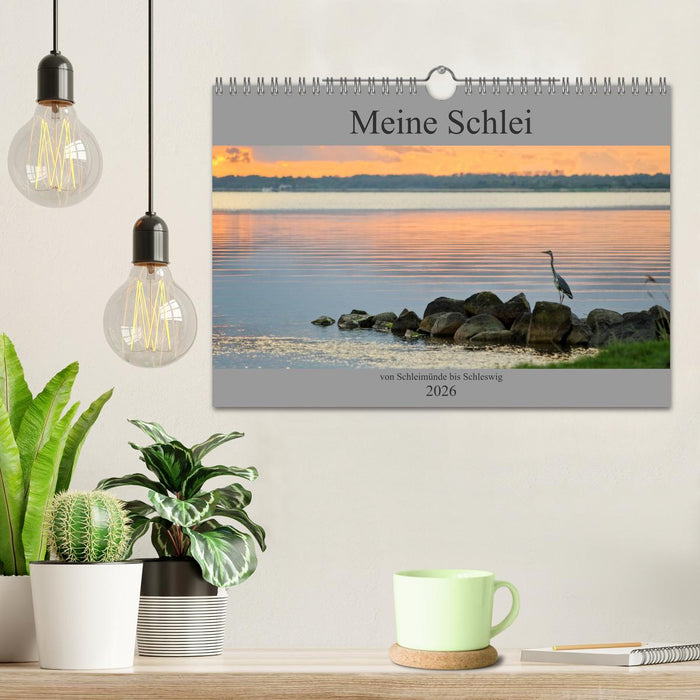 Meine Schlei 2026 (CALVENDO Wandkalender 2026)