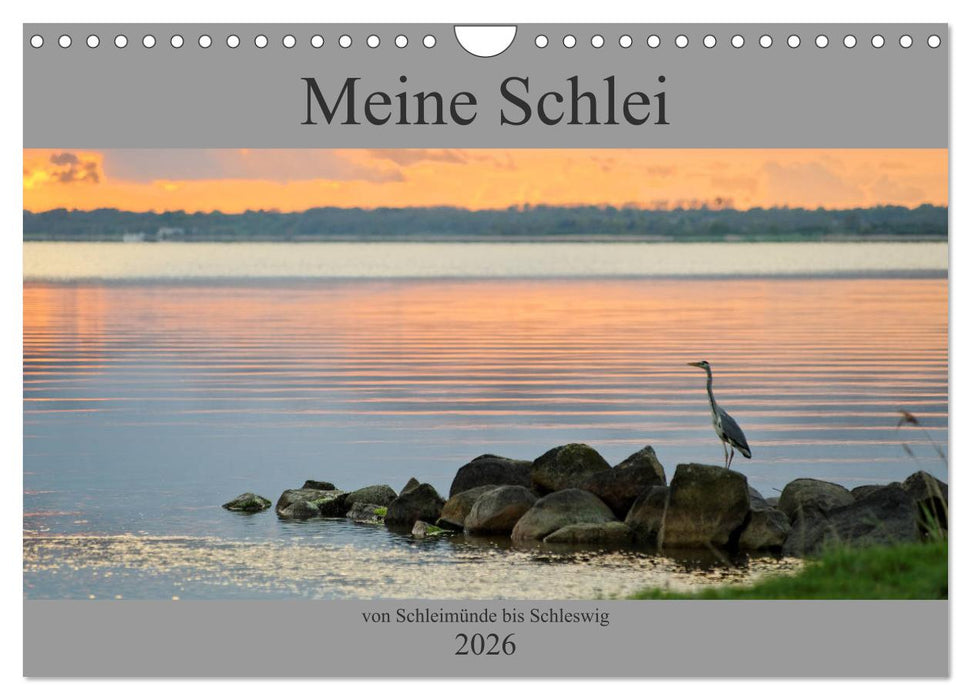 Meine Schlei 2026 (CALVENDO Wandkalender 2026)