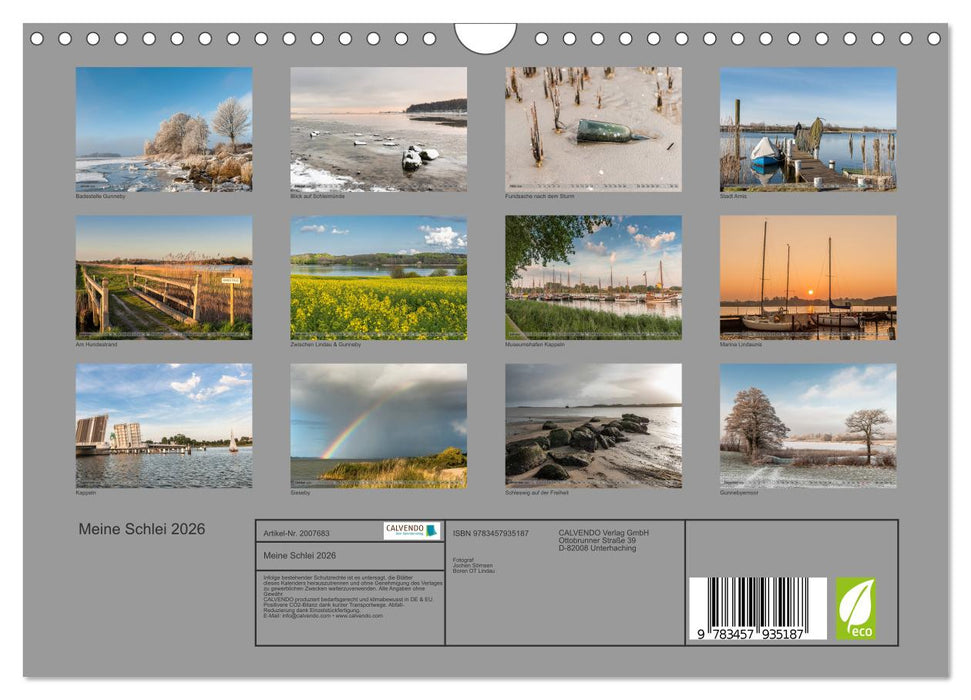 Meine Schlei 2026 (CALVENDO Wandkalender 2026)