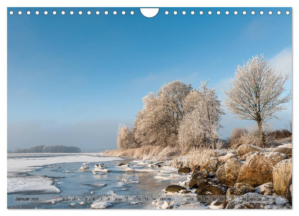 Meine Schlei 2026 (CALVENDO Wandkalender 2026)