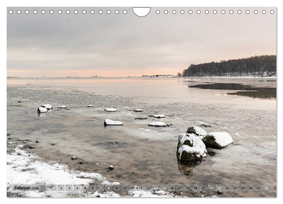 Meine Schlei 2026 (CALVENDO Wandkalender 2026)