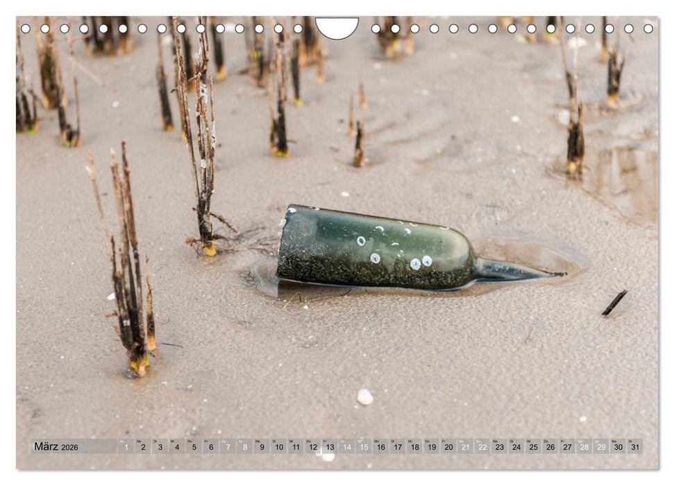 Meine Schlei 2026 (CALVENDO Wandkalender 2026)