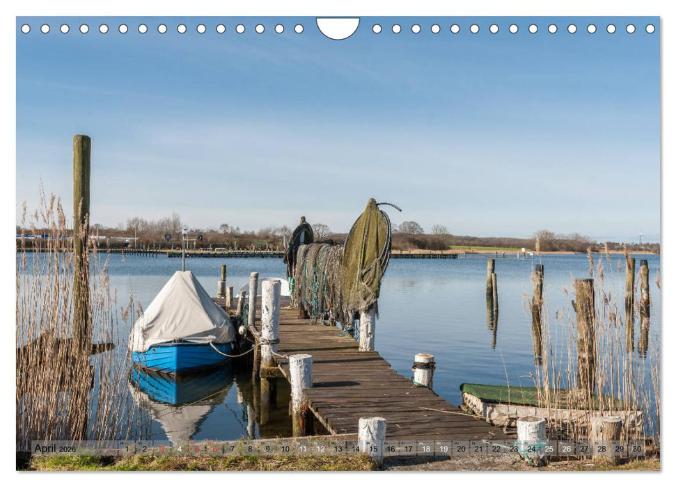 Meine Schlei 2026 (CALVENDO Wandkalender 2026)