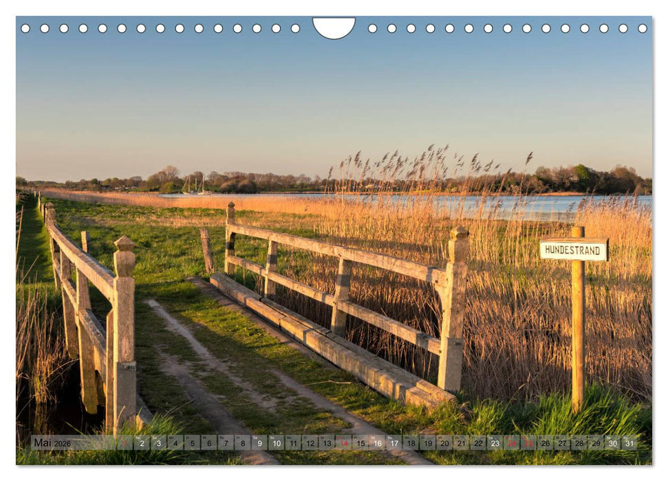 Meine Schlei 2026 (CALVENDO Wandkalender 2026)