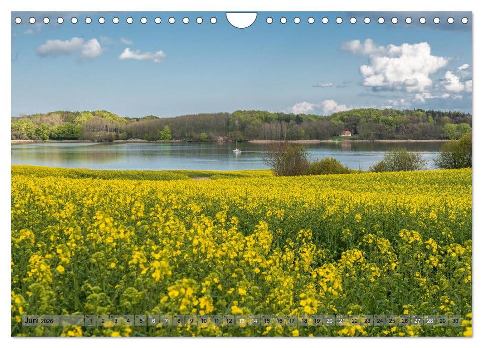 Meine Schlei 2026 (CALVENDO Wandkalender 2026)