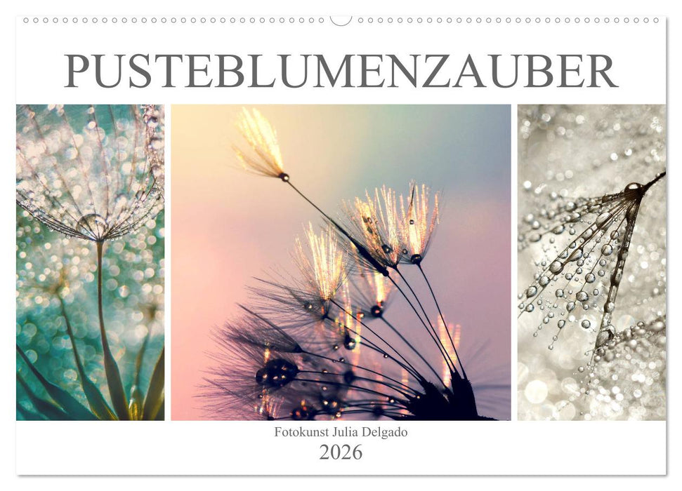 PusteblumenZauber (CALVENDO Wandkalender 2026)