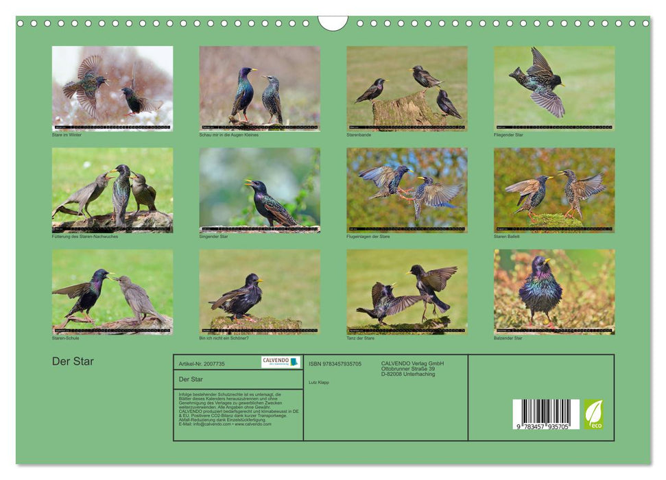 Der Star (CALVENDO Wandkalender 2026)