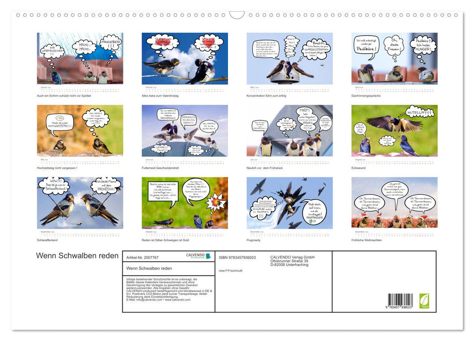 Wenn Schwalben reden (CALVENDO Wandkalender 2026)