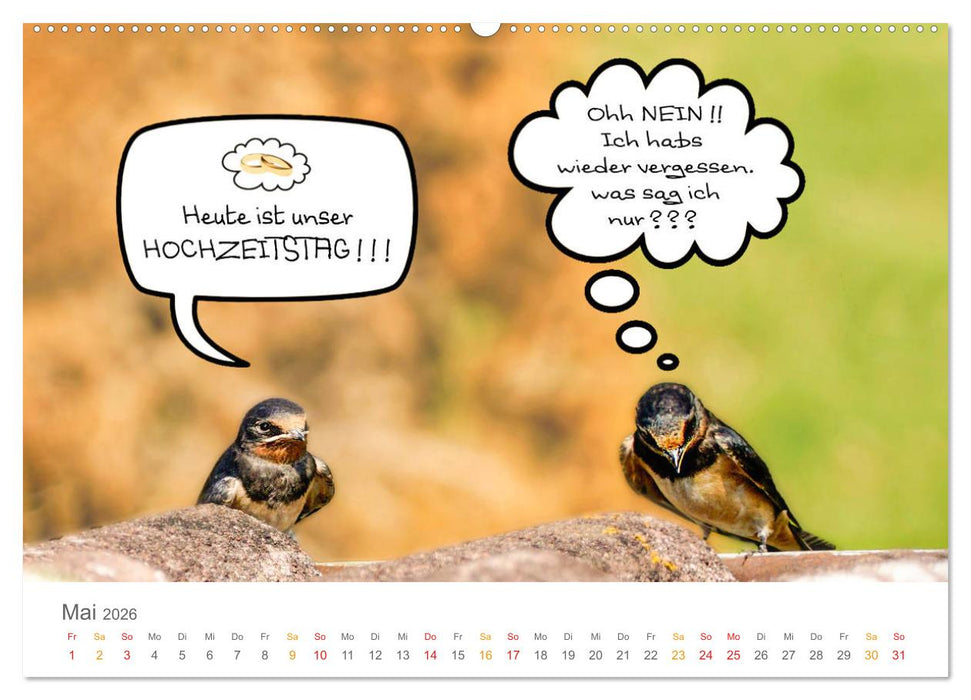 Wenn Schwalben reden (CALVENDO Wandkalender 2026)