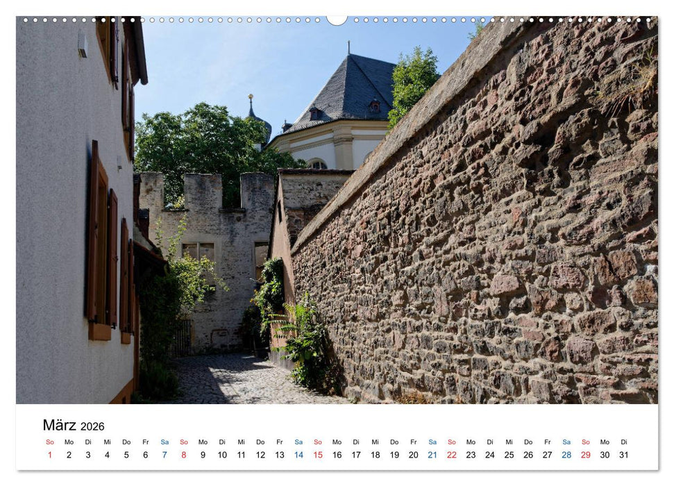 Speyer - Ansichtssache (CALVENDO Wandkalender 2026)