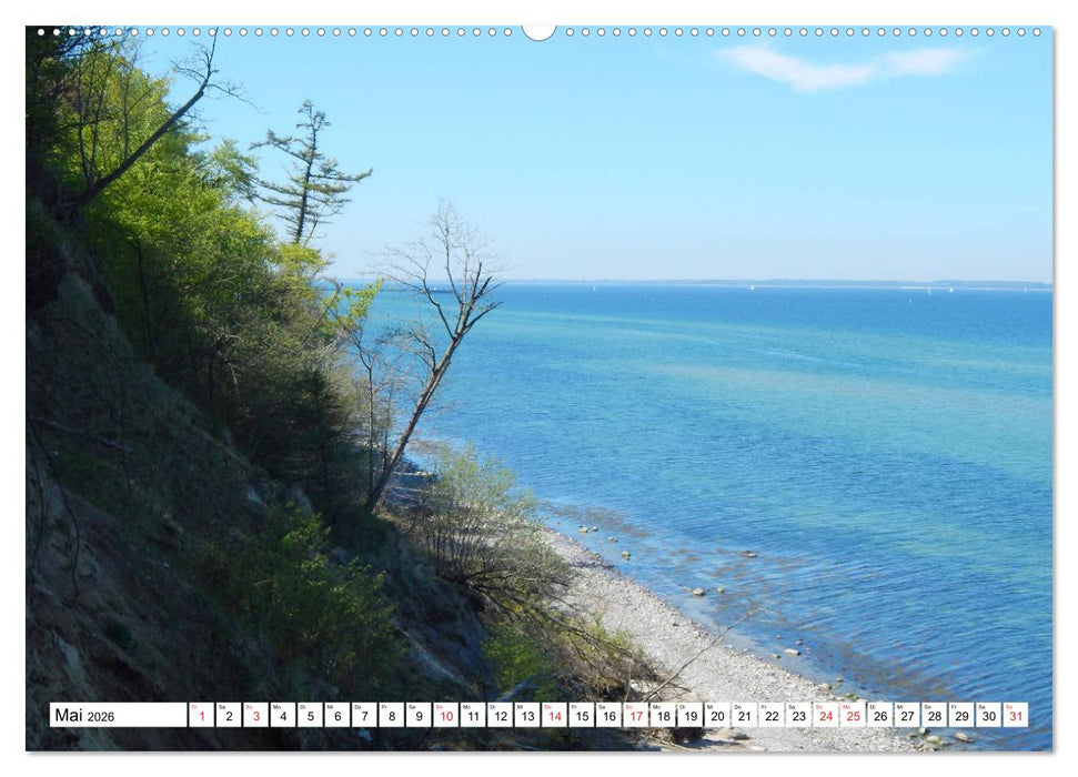 Schleswig-Holstein Moin Moin (CALVENDO Wandkalender 2026)