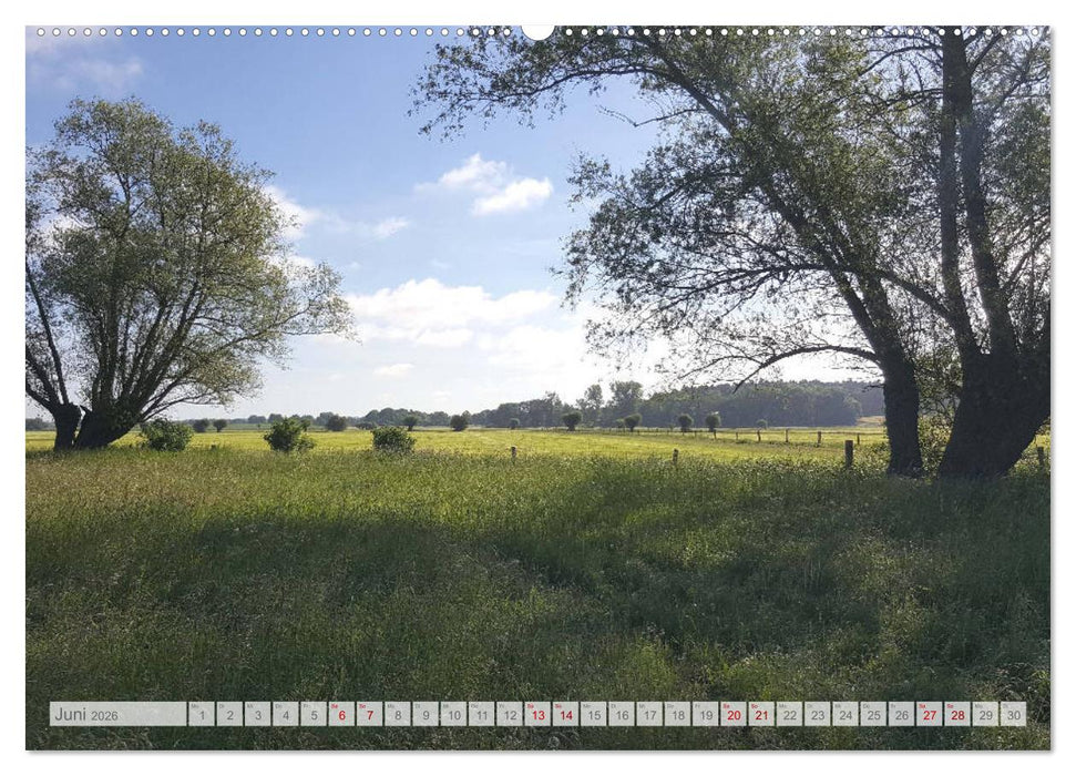 Natur-Paradies Mecklenburgische Schweiz (CALVENDO Wandkalender 2026)