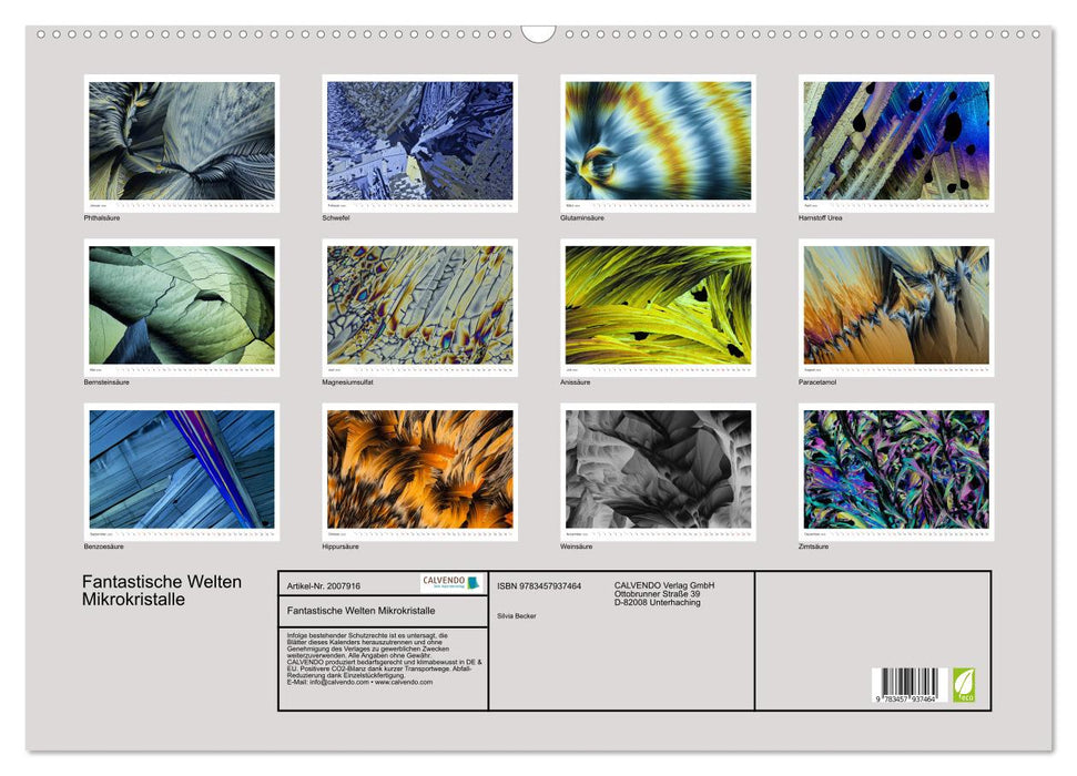 Fantastische Welten Mikrokristalle (CALVENDO Wandkalender 2026)