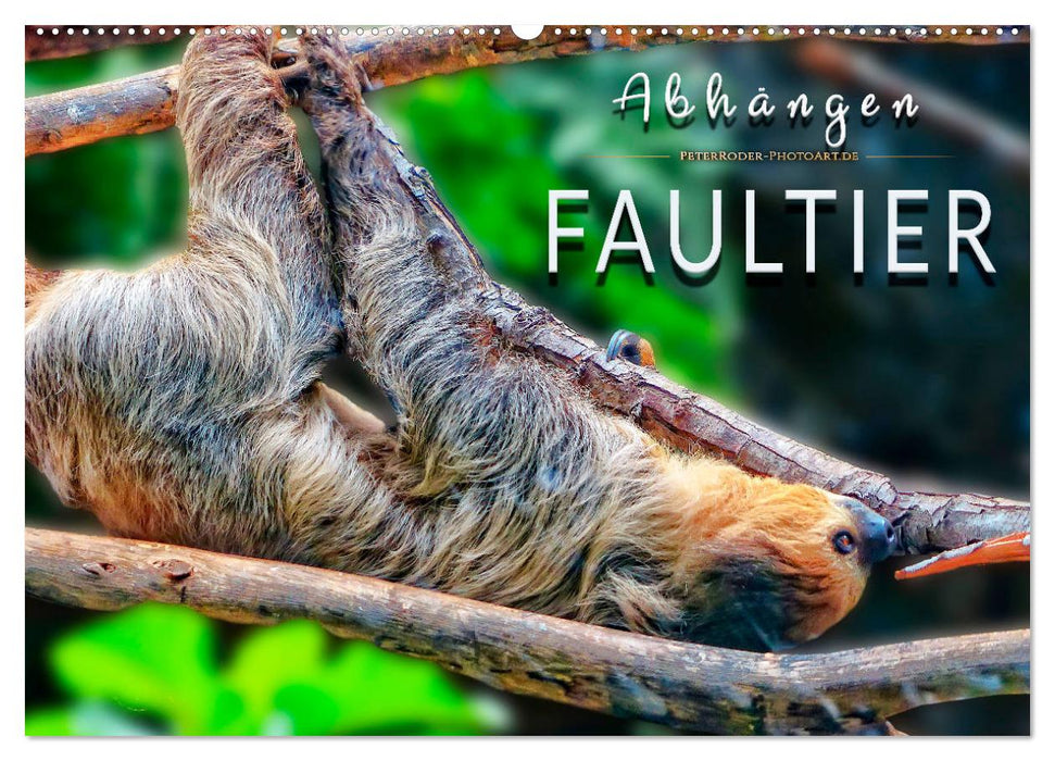 Abhängen - Faultier (CALVENDO Wandkalender 2026)