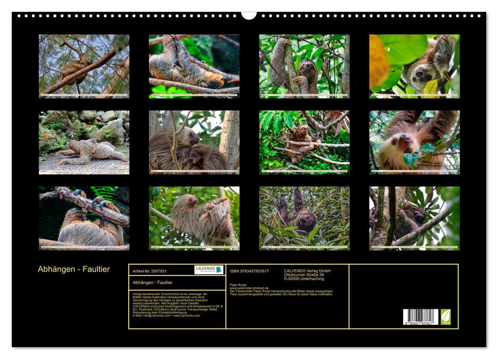 Abhängen - Faultier (CALVENDO Wandkalender 2026)
