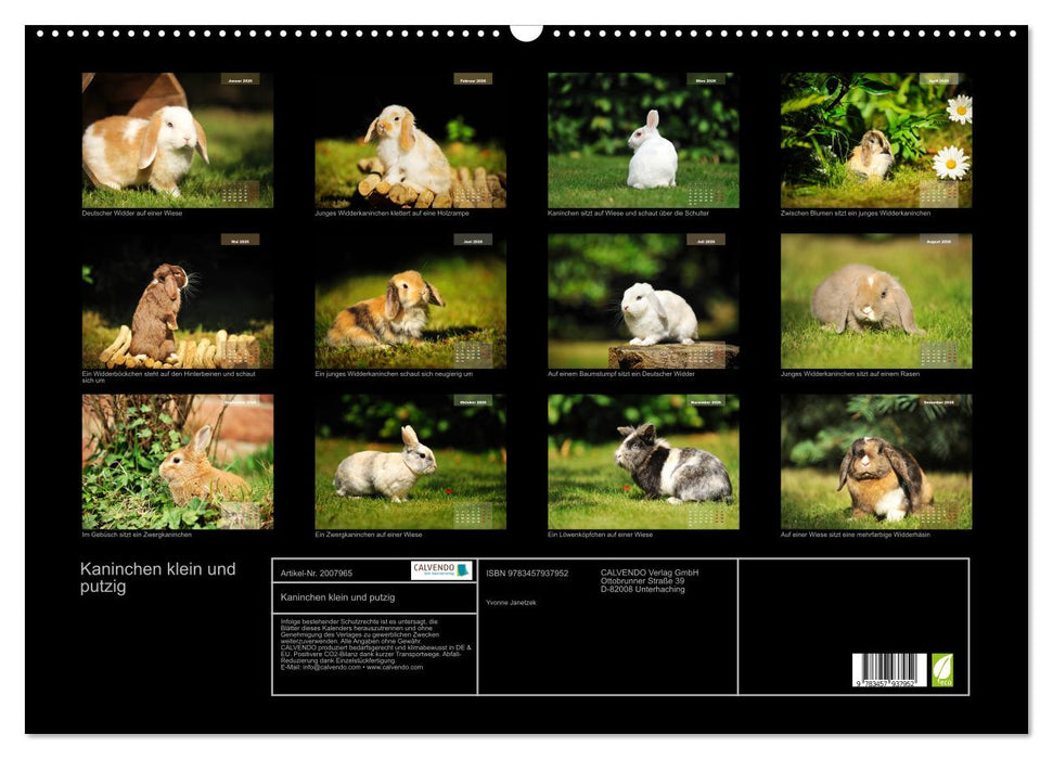 Kaninchen klein und putzig (CALVENDO Wandkalender 2026)