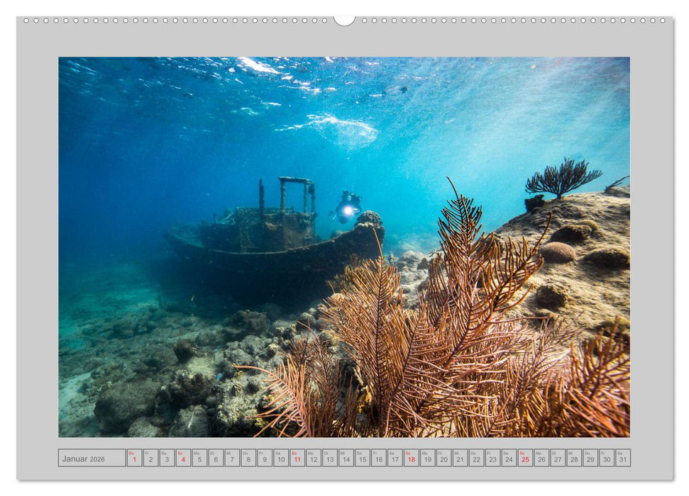 Karibische Meerblicke (CALVENDO Wandkalender 2026)