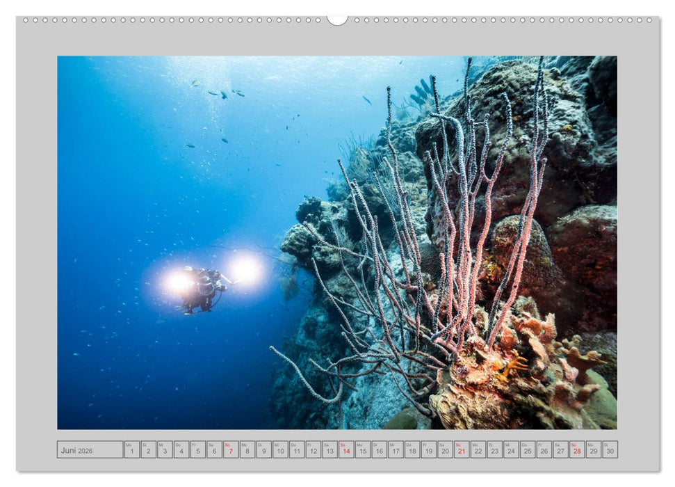 Karibische Meerblicke (CALVENDO Wandkalender 2026)