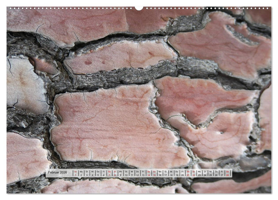 organische Strukturen Abstrakte Formen der Natur (CALVENDO Wandkalender 2026)