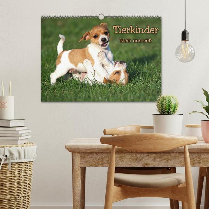Tierkinder klein und süß (CALVENDO Wandkalender 2026)