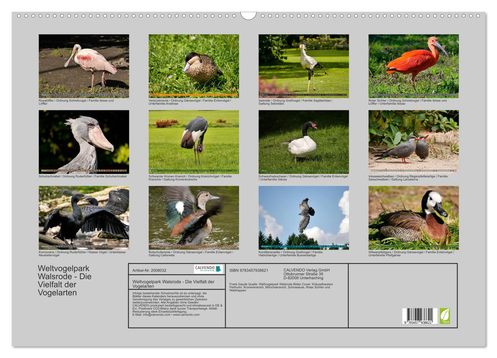Weltvogelpark Walsrode - Die Vielfalt der Vogelarten (CALVENDO Wandkalender 2026)