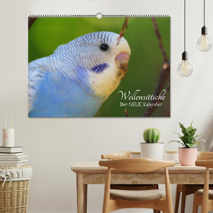 Wellensittiche - der NEUE Kalender (CALVENDO Wandkalender 2026)