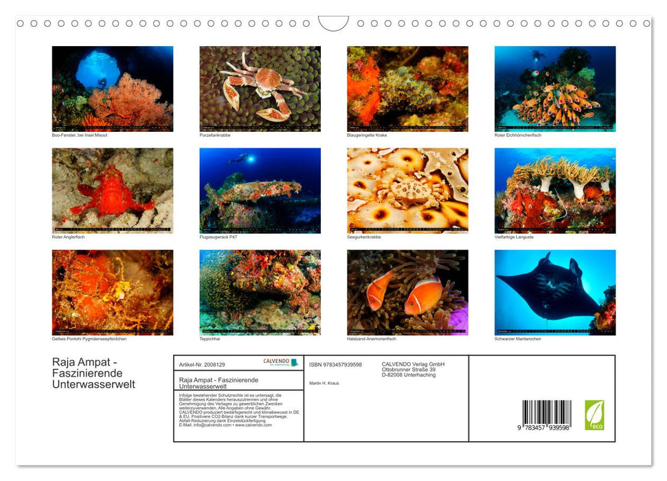 Raja Ampat - Faszinierende Unterwasserwelt (CALVENDO Wandkalender 2026)