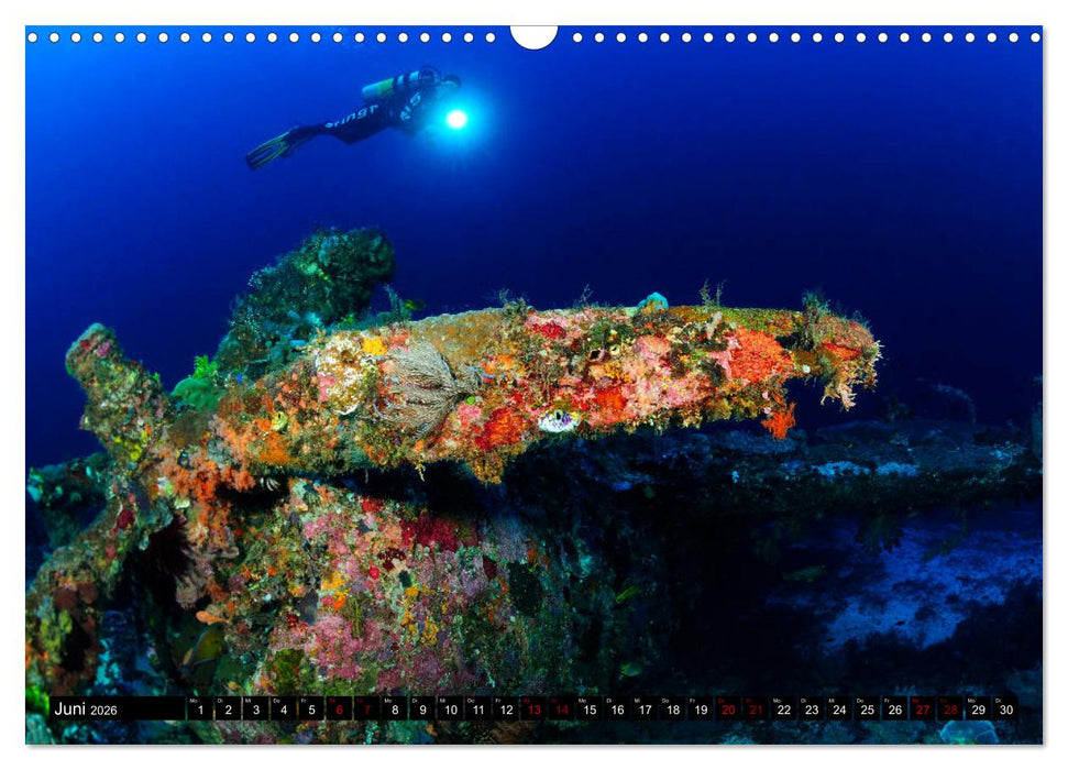 Raja Ampat - Faszinierende Unterwasserwelt (CALVENDO Wandkalender 2026)