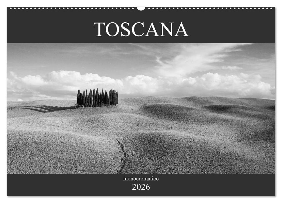 Toscana - monocromatico (CALVENDO Wandkalender 2026)