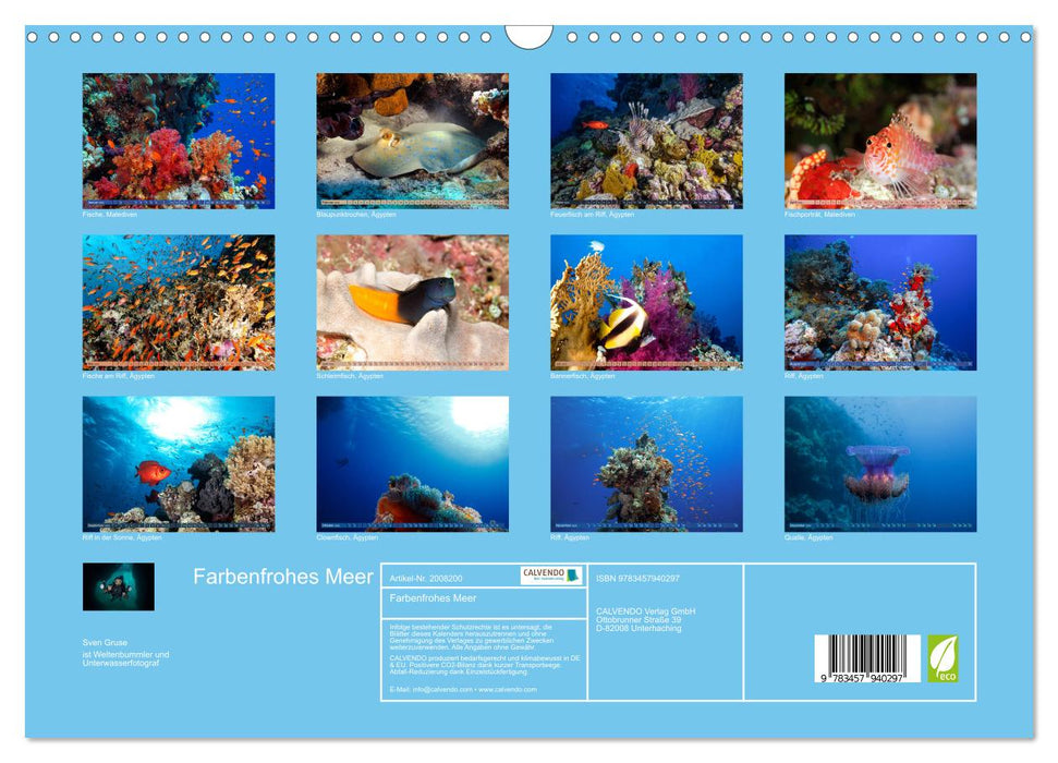 Farbenfrohes Meer (CALVENDO Wandkalender 2026)