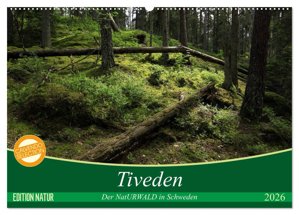 Tiveden, der NatURWALD in Schweden (CALVENDO Wandkalender 2026)