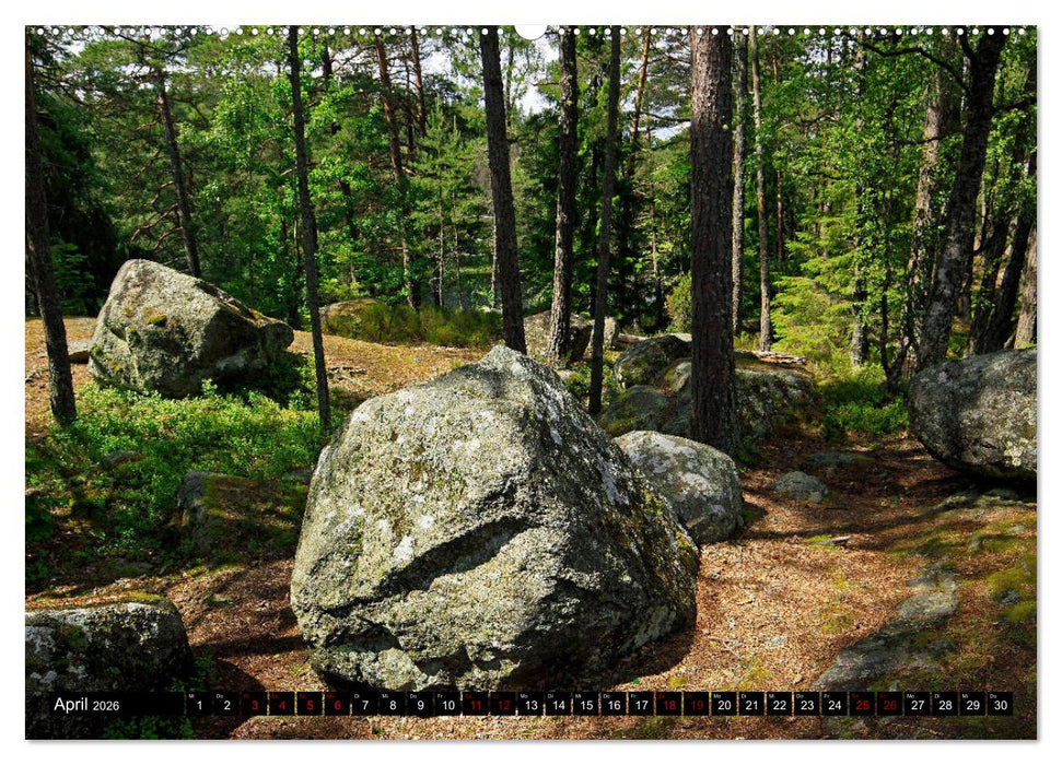 Tiveden, der NatURWALD in Schweden (CALVENDO Wandkalender 2026)
