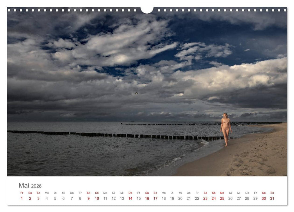 Akt und Meer (CALVENDO Wandkalender 2026)