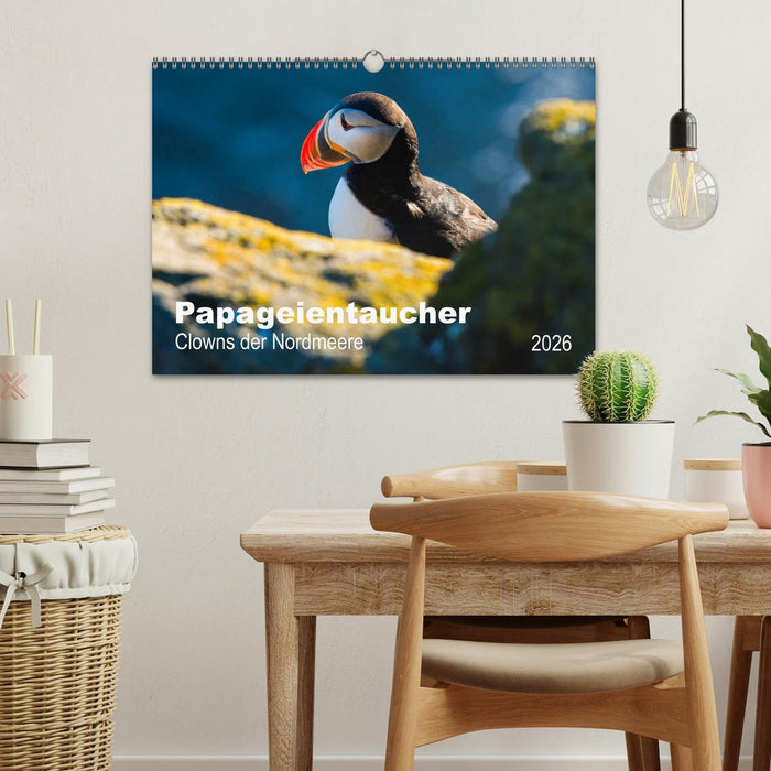 PAPAGEIENTAUCHER - Clowns der Nordmeere (CALVENDO Wandkalender 2026)