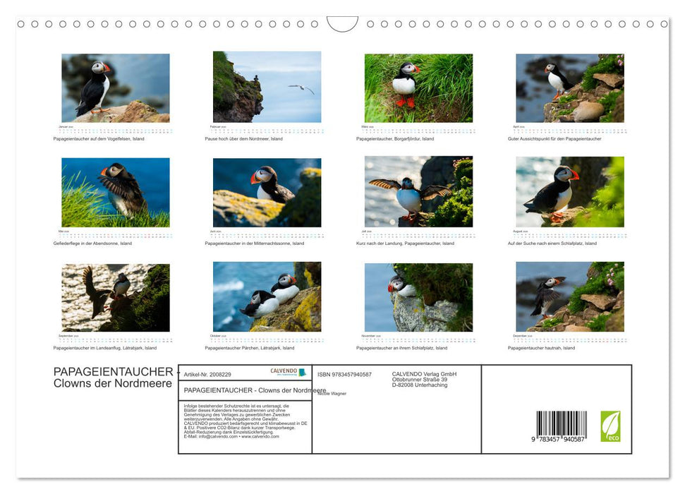 PAPAGEIENTAUCHER - Clowns der Nordmeere (CALVENDO Wandkalender 2026)