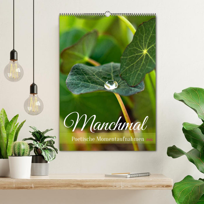Manchmal - Poetische Momentaufnahmen (CALVENDO Wandkalender 2026)