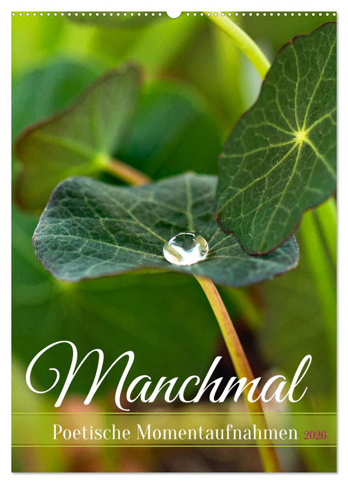 Manchmal - Poetische Momentaufnahmen (CALVENDO Wandkalender 2026)