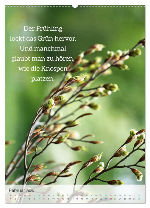 Manchmal - Poetische Momentaufnahmen (CALVENDO Wandkalender 2026)