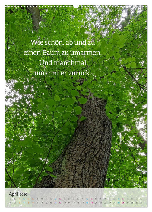 Manchmal - Poetische Momentaufnahmen (CALVENDO Premium Wandkalender 2026)